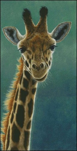 (image for) Giraffe Beauty